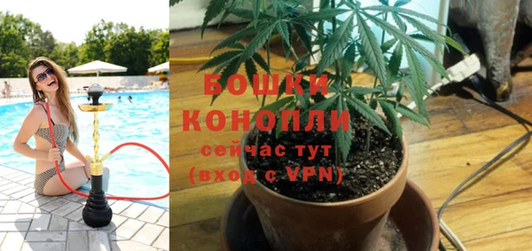 мяу мяу мука Рославль